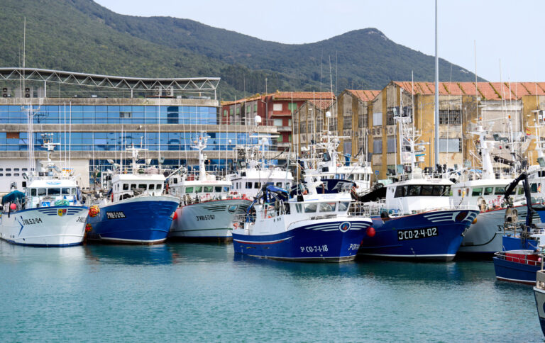 La flota española incrementa sus posibilidades de captura de bacalao en aguas de Terranova en 2025