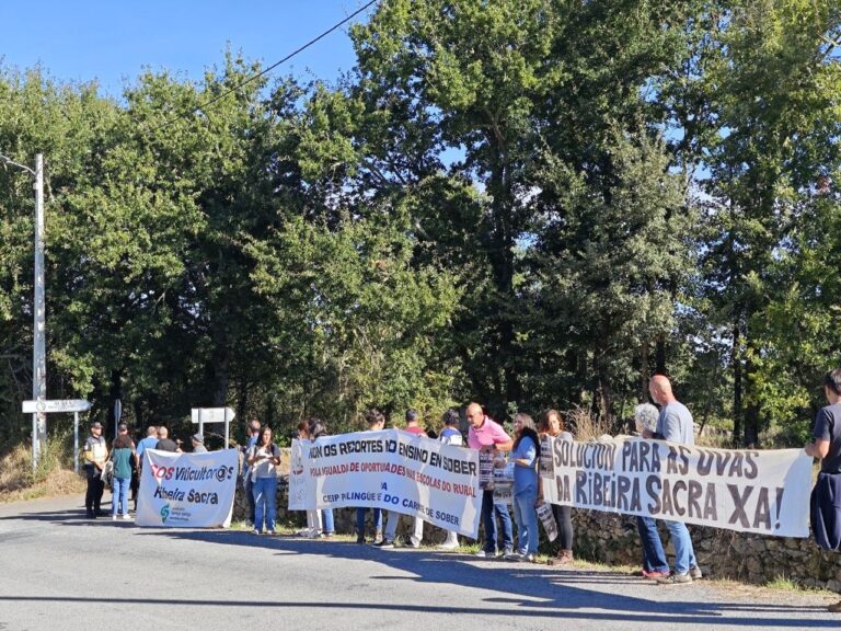 Viticultores de la Ribeira Sacra denuncian que la Xunta «no activó ninguna medida de apoyo directo» al sector