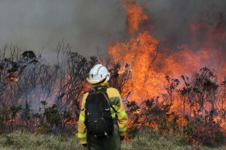 Un incendio forestal quema 30 hectáreas en los municipios de Carballedo (Lugo) y San Cristovo de Cea (Ourense)