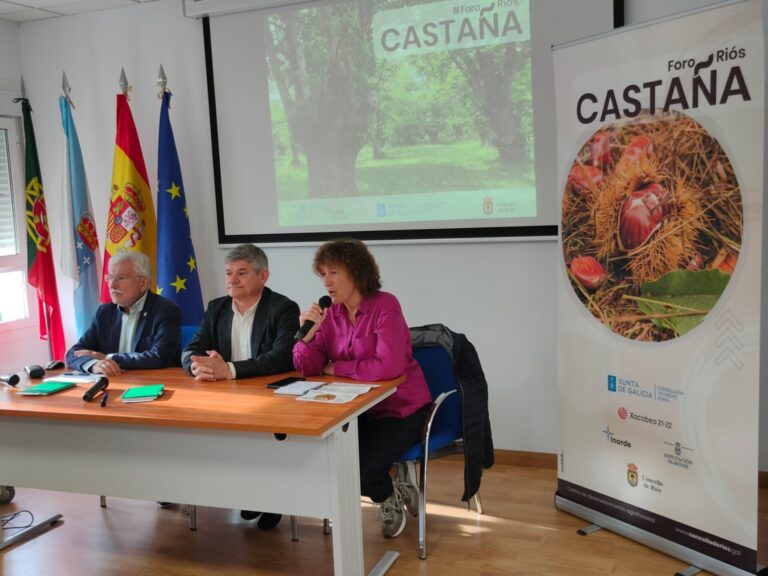 Medio Rural reivindica que Galicia lidera el fomento del castaño por superficie cultivada y calidad en la producción