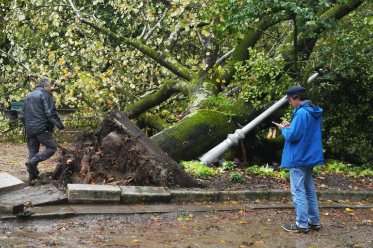 ‘Kirk’ parte varios árboles y decenas de ramas en la histórica Alameda de Santiago, que sigue cerrada