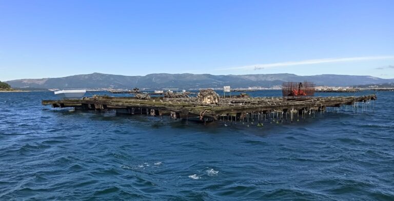 Pesca.- Más de la mitad de los polígonos de bateas de Galicia permanecen cerrados por la extensión de toxinas