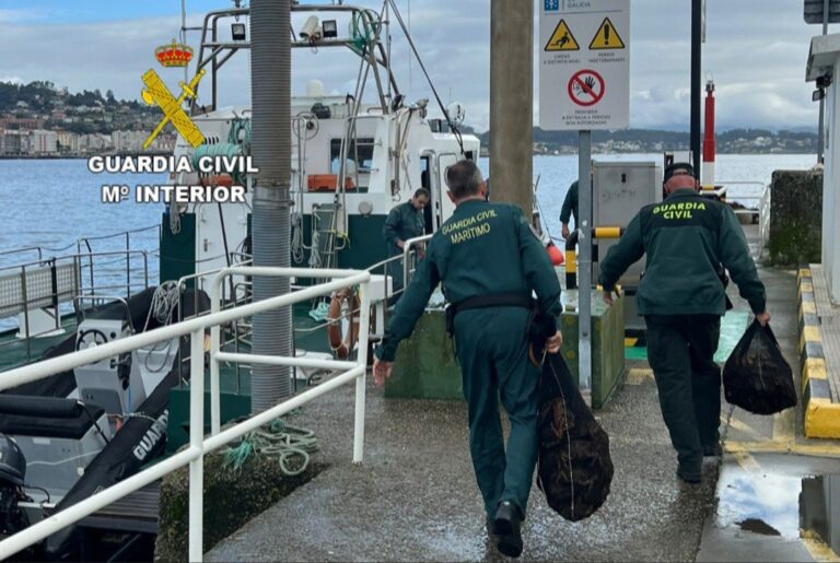 La Guardia Civil incauta en Sanxenxo 80 kilos de marisco procedentes de la pesca furtiva