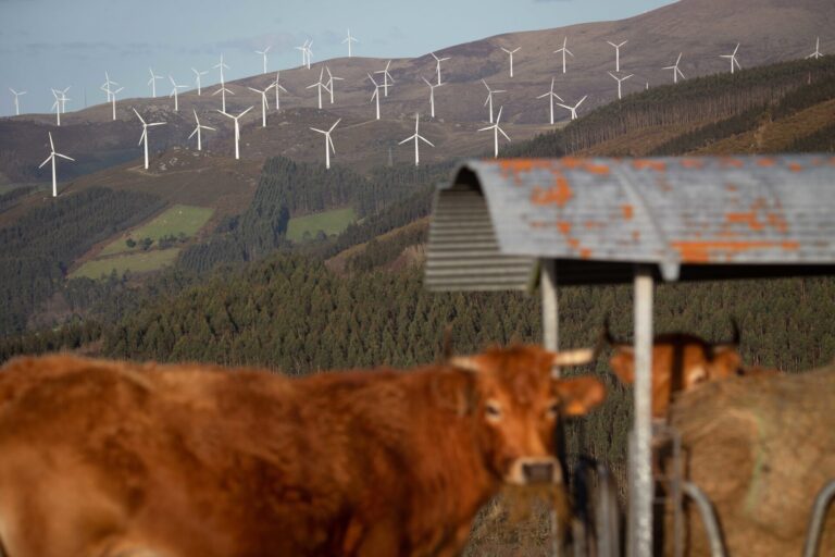 Los eólicos suspendidos por el TSXG ya superan los 60 tras tres nuevas paralizaciones por motivos ambientales