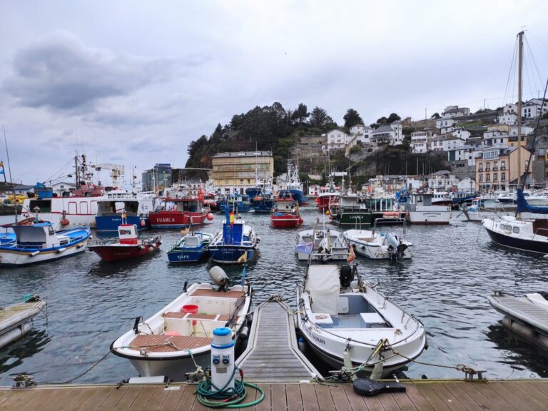 Pesca.- El Gobierno elimina los topes de captura jurel, excepto para arrastre y cerco, en el Catábrico y noroeste