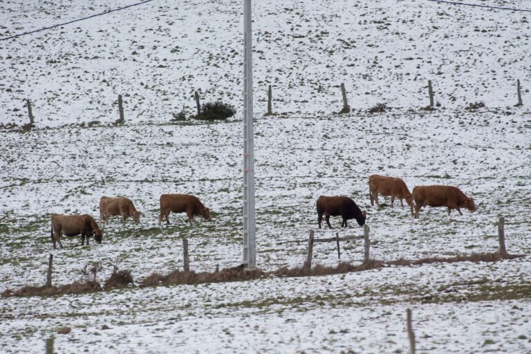 Calvos de Randín (Ourense) registra una mínima de -6,6 grados en una mañana de heladas en la mitad de Galicia