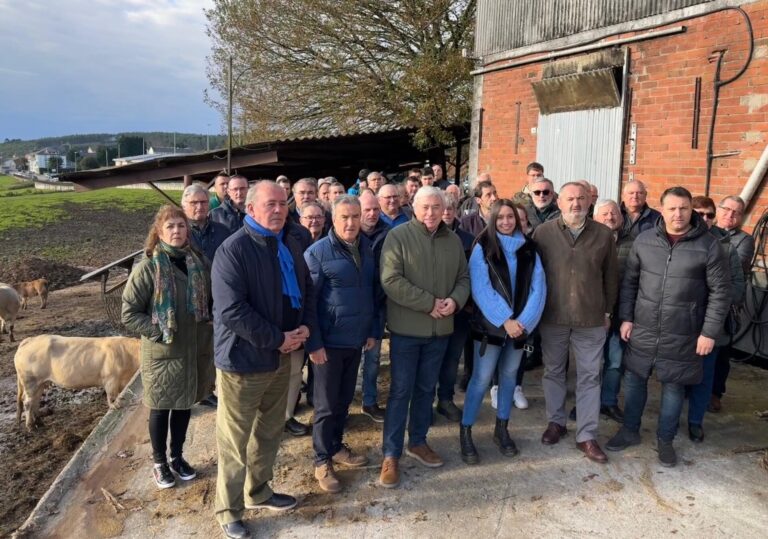 Rural.- Senadores del PP de Lugo critican que el Gobierno «no tiene intención de rebajar la protección del lobo»