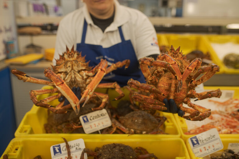 Los alimentos navideños se encarecen un 55% en 10 años: Percebes «prohibitivos» y «reduflación» en turrón y bombones