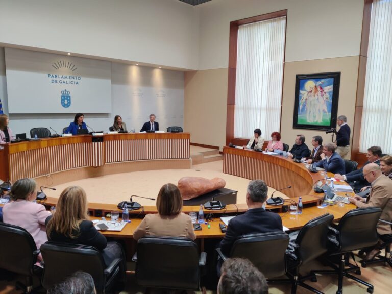 Contratos.-El PPdeG registra un voto particular al dictamen para «desmentir» las acusaciones de vetos de la oposición
