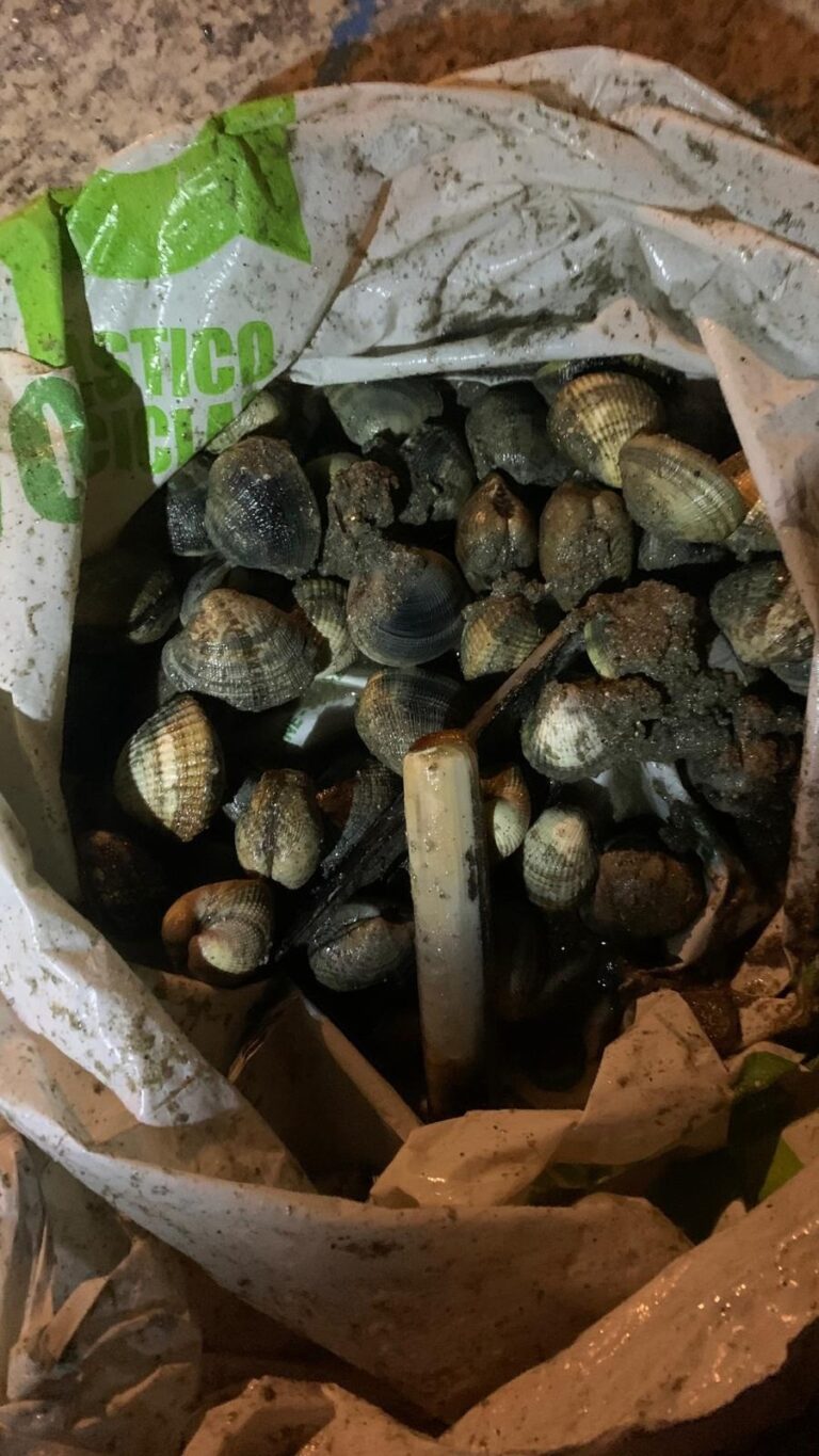 Interceptados en una playa de Vigo dos mariscadores furtivos con cerca de un kilo de bivalvos