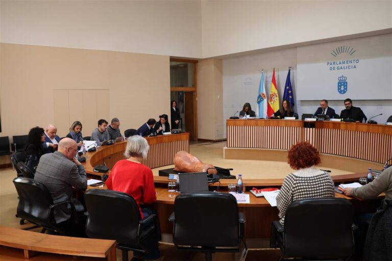 El Parlamento demanda una nueva unidad de Policía Nacional en Ourense entre críticas al PP por su «discurso alarmista»