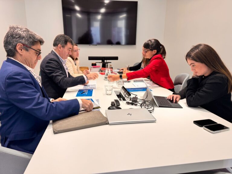 Digital.-Galicia pide el apoyo al Gobierno central para impulsar una fábrica europea de IA centrada en la salud