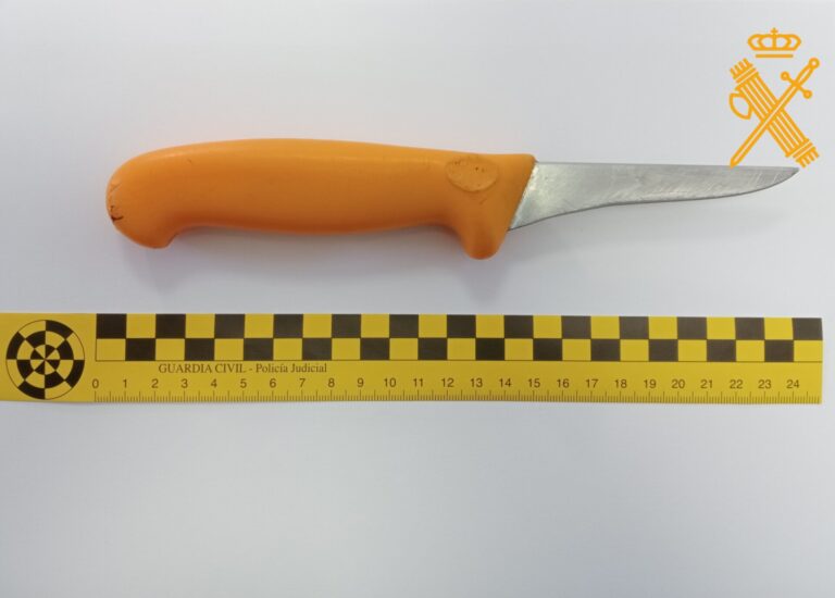 Detenido un vecino de Castro de Rei (Lugo) por herir a su compañero con un cuchillo acusándolo de hacer mucho ruido