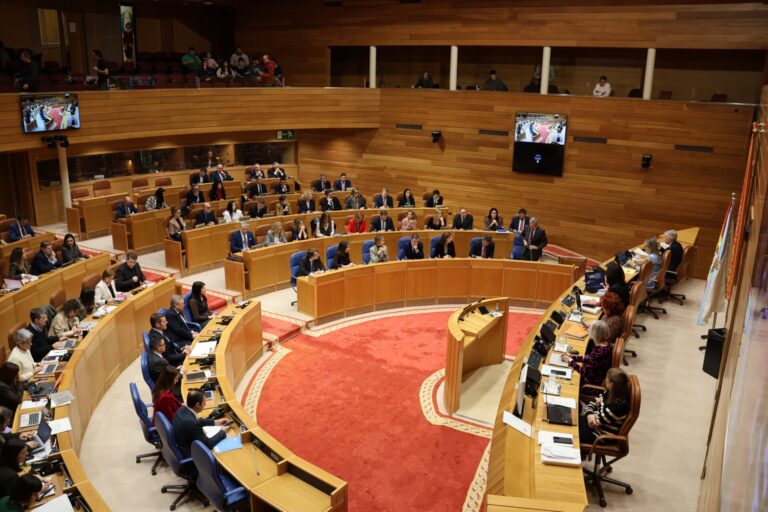 El PP rechaza que el CAPD de Ourense sea de gestión pública y directa en un debate marcado por un caso de abusos