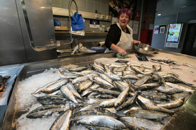 El Gobierno fija la cuota de sardina ibérica para 2025 en 17.332,2 toneladas, un 16% más