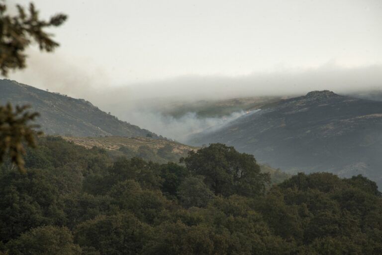 Comienza el despliegue de personal laboral del Servicio de Prevención contra Incendios Forestales