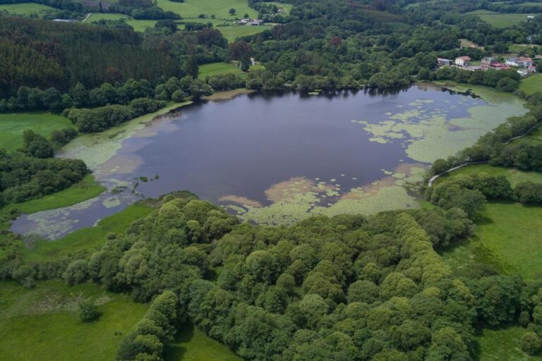 Ecologistas piden que no se autorice un parque eólico entre A Coruña y Lugo por sus «graves afecciones ambientales»