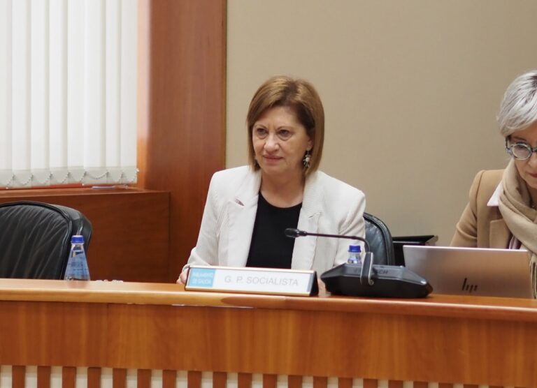 El PSdeG lleva al Debate sobre el Estado de la Autonomía propuestas «útiles» ante la «ausencia de proyecto» de la Xunta