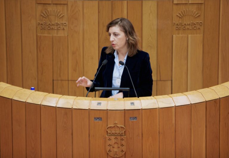 La Xunta ve «totalmente injustificada» la suspensión del parque eólico de Carboeiro por parte del TSXG