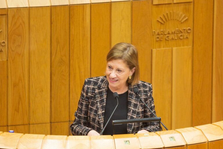 DEA.-PSdeG pide apoyo a sus medidas ante la falta de «apuesta decidida» de la Xunta: «No la encontraría ni Paco Lobatón»