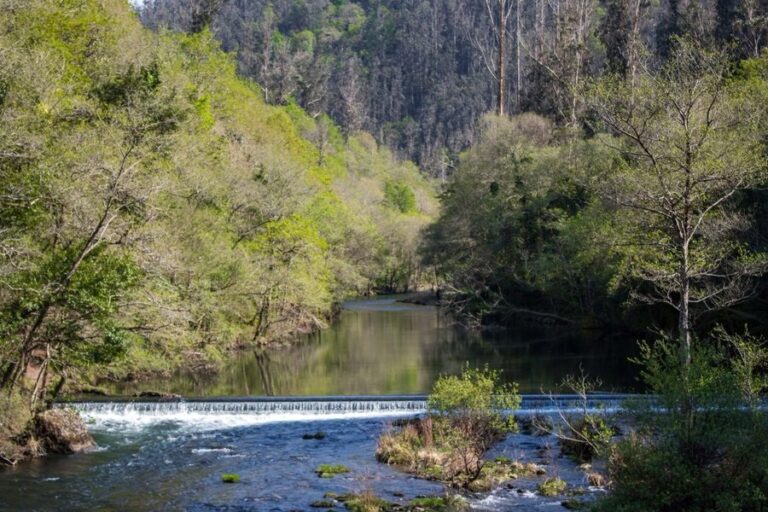 Apagón.- La Xunta recomienda no bañarse en playas y ríos las próximas 24 horas por falta de tratamiento de aguas