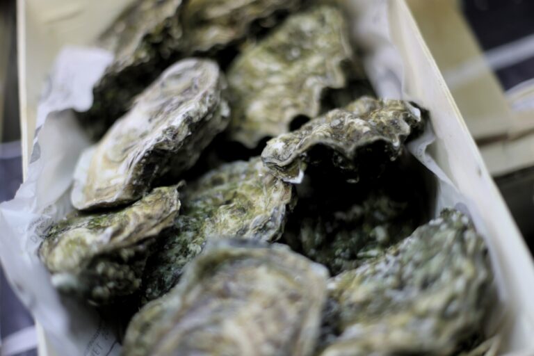 Pesca.- La Xunta amplía hasta junio la campaña extractiva de ostra rizada en la modalidad a pie en la ría de Ares y Sada