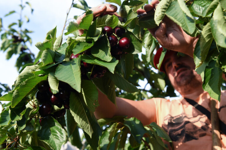 Agricultura convoca ayudas para programas plurirregionales de formación en el medio rural por casi 2 millones