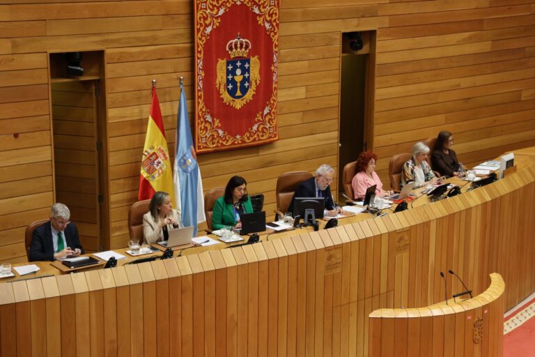 El Parlamento pide «no posicionarse a favor o en contra» de la mina de Doade hasta que se pronuncien los técnicos