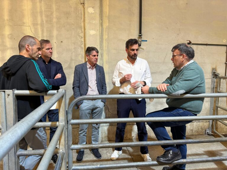 Rural.- Diego Calvo garantiza la continuidad de la subasta de ganado en Silleda y avala el nuevo sistema digital