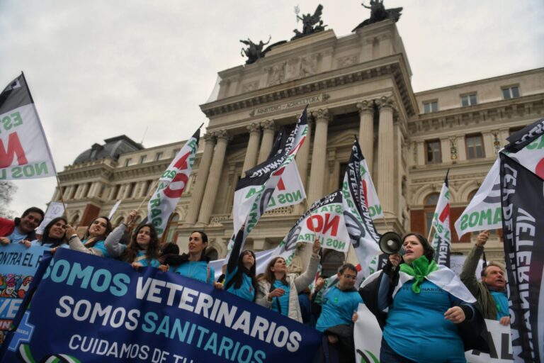 Agricultura no se plantea «en este momento» una modificación de la Ley del Medicamento veterinario