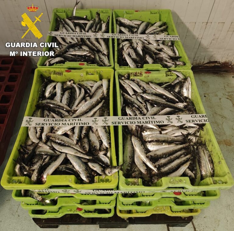 La Guardia Civil se incauta de más de 200 kilos de sardina no declarada procedente del puerto de Corcubión