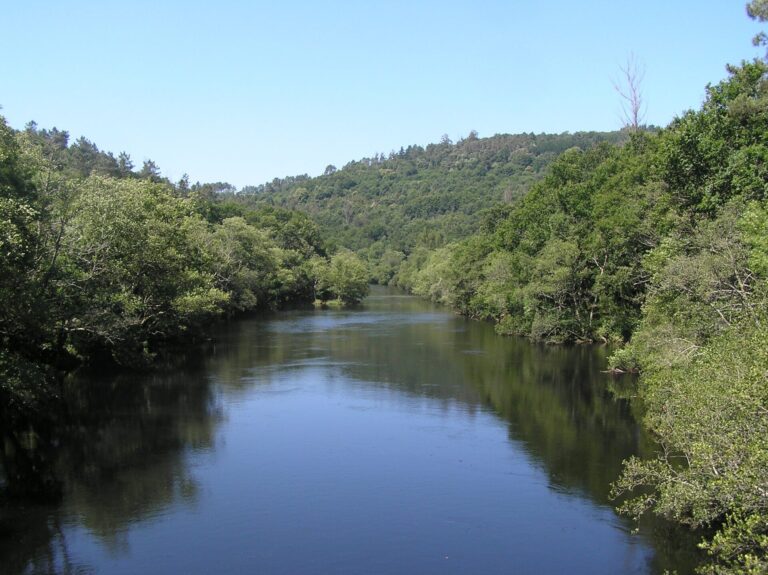 Pescadores del río Ulla denuncian que los desembalses imposibilitan la pesca recreativa