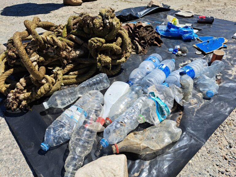 Retiran 84 kilos de basura marina de las playas de Burela (Lugo)