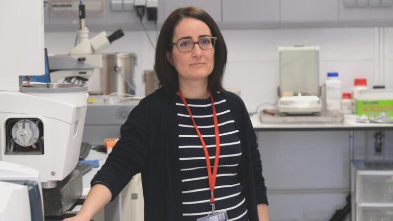 Un equipo de la USC presenta un avance en la producción de hidrógeno con catalizadores más duraderos y eficientes