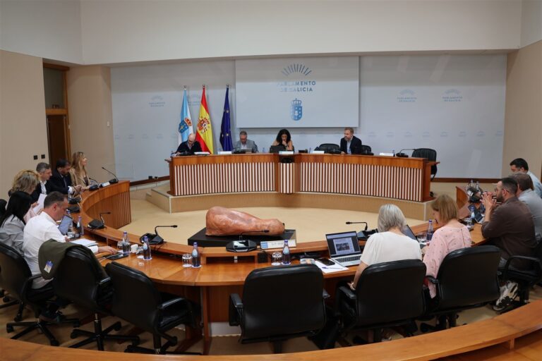 El PP defiende la legalidad de los conciertos del Sergas en Ourense para tumbar una iniciativa que pedía «transparencia»