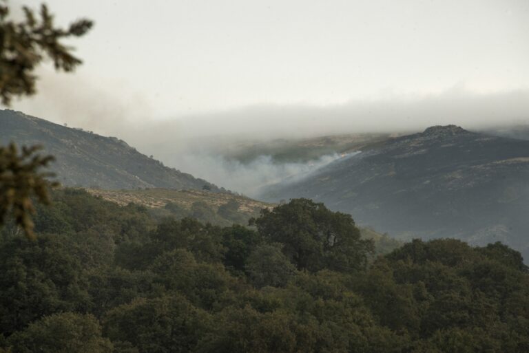 Rural.- Extinguido el incendio forestal de Calvos de Randín (Ourense), que afectó al Parque Natural do Xurés