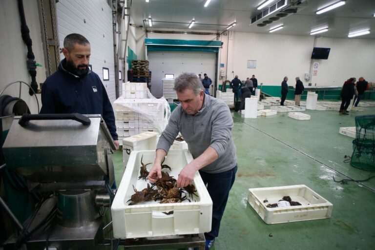 Pesca.- La Xunta traslada al sector el borrador que regularizará la comercialización de excedentes de marisco