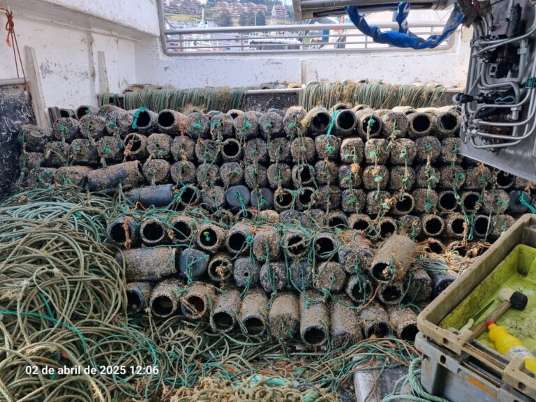 Pesca.-Incautados casi 1.300 kilos de pulpo y 6.000 utensilios de captura durante la veda de los últimos dos meses