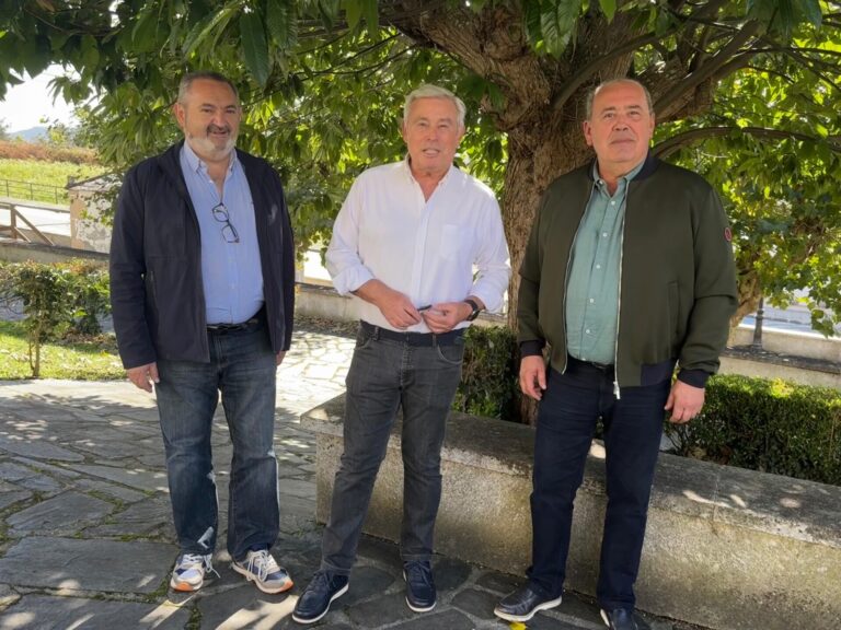 Senadores del PP de Lugo denuncian la falta de avances en la A-76 con el Gobierno de Pedro Sánchez
