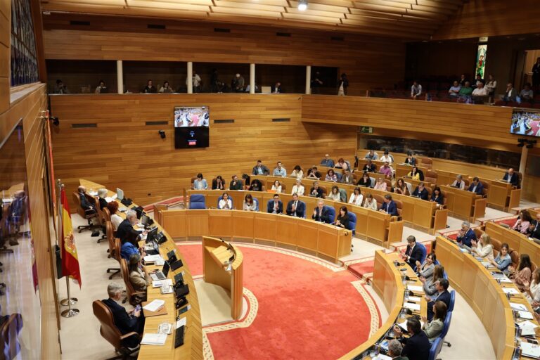 Pleno.- Unanimidad en la Cámara para instar al Gobierno a dotar de fondos la Ley ELA para que «sea efectiva»