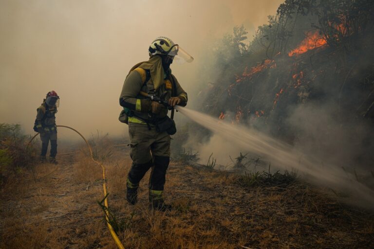 Auditores europeos destacan la inversión de Galicia en prevención de incendios pero piden mantener mejor los cortafuegos