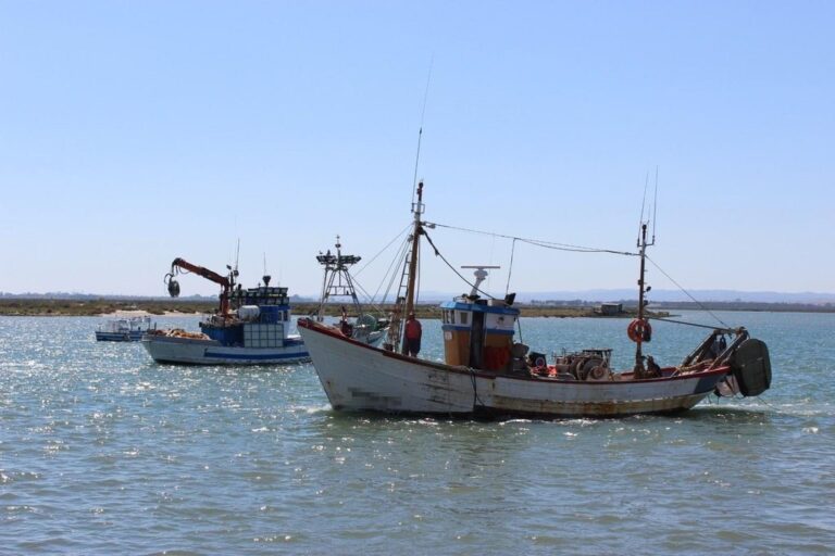 Pesca.- La Xunta evaluará con el sector posibles «opciones de recurso» tras el fallo que avala la veda en pesca de fondo
