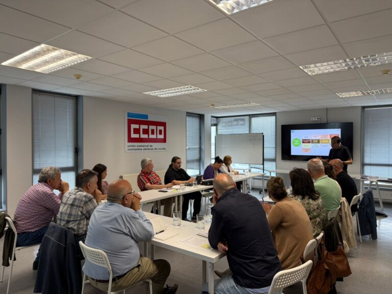 CCOO reclama «diálogo» y «planificación» para la implantación de proyectos de energía eólica