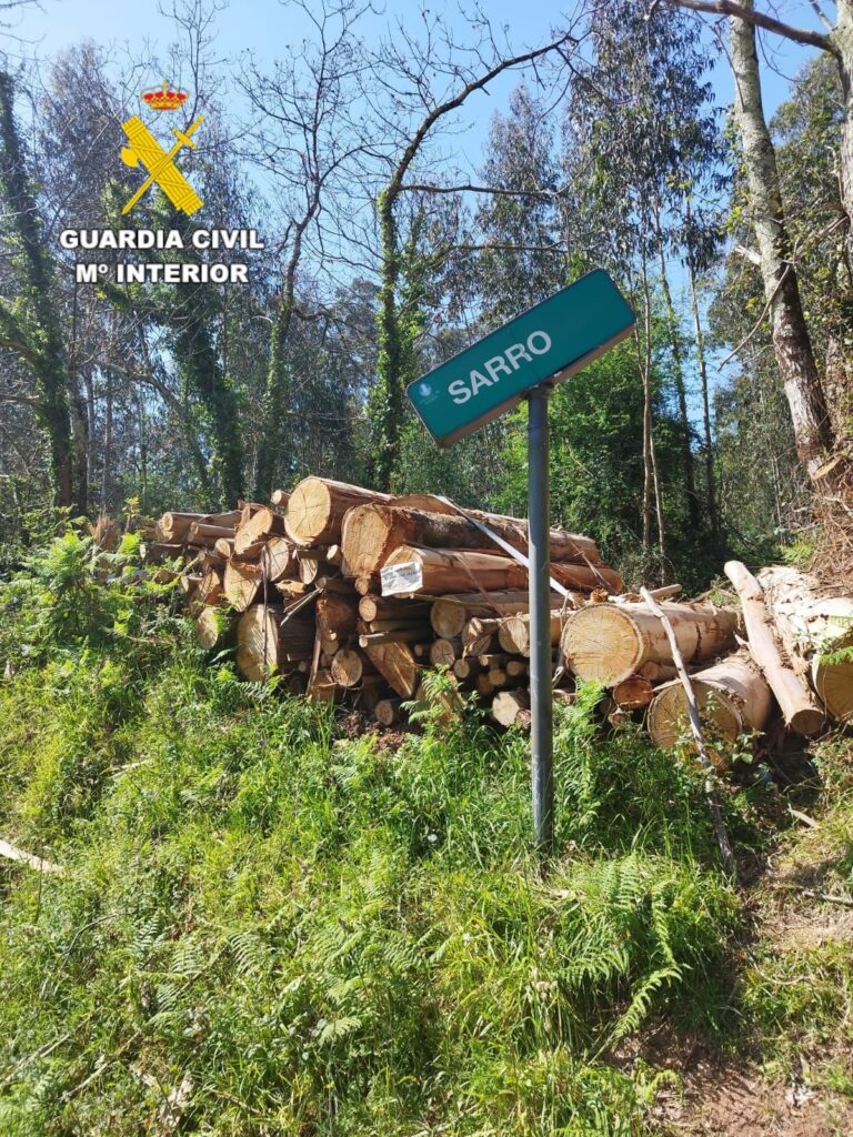 Investigadas tres personas por realizar talas sin permiso en los montes de Oleiros (A Coruña), por hurto y falsedad