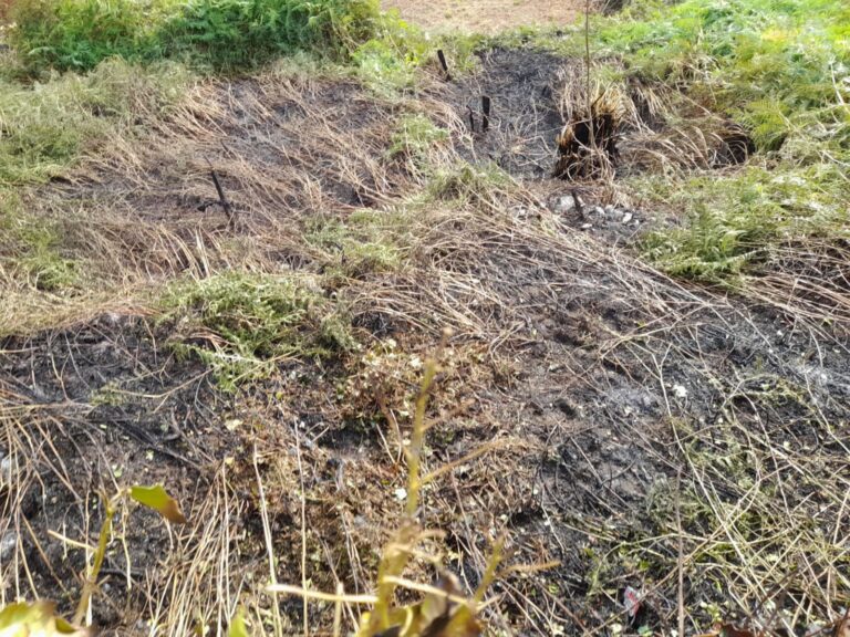 Sofocado un pequeño incendio en una finca en Betanzos (A Coruña)