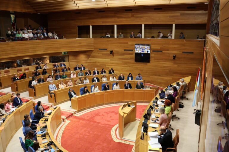Pleno.- Aprobada una propuesta del PSdeG para instar a la Xunta a elaborar un nuevo plan estratégico de salud mental