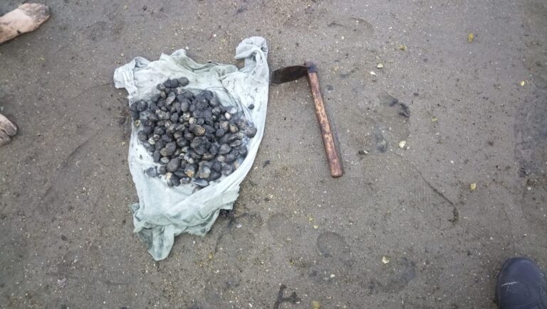 Pesca.- Identificados tres furtivos, uno de ellos reincidente, cuando extraían almeja ilegalmente en una playa de Vigo
