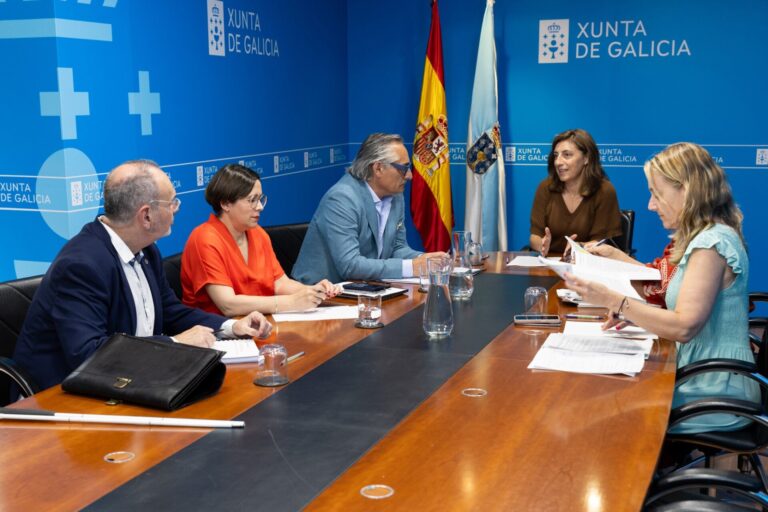 La Xunta y la patronal eólica gallega creen que el decreto para reforzar el sector eléctrico llega «tarde y mal»