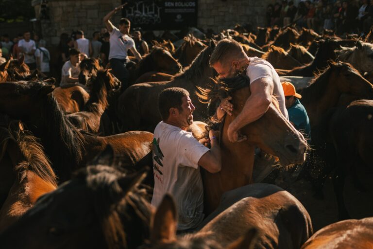 La Rapa das Bestas de Sabucedo, declarada Bien de Interés Cultural (BIC)