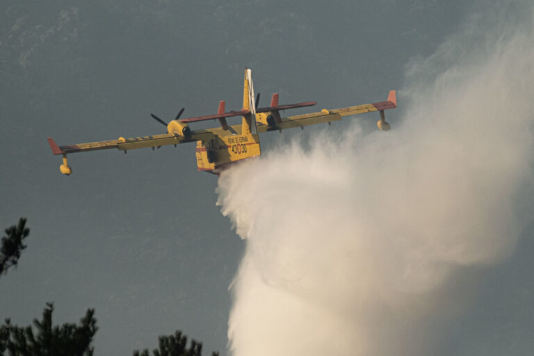 Extinguido el incendio de A Mezquita (Ourense) tras quemar cerca de 40 hectáreas